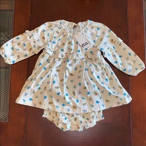 Tea collection 12-18m corduroy dress and bloomers